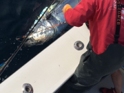 TW’s Bait & Tackle, Daily Fishing Report