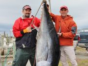 TW’s Bait & Tackle, Daily Fishing Report
