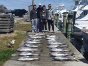 TW’s Bait & Tackle, Daily Fishing Report