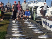TW’s Bait & Tackle, Daily Fishing Report