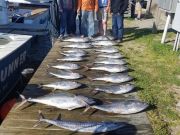 TW’s Bait & Tackle, Daily Fishing Report