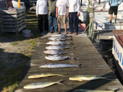 TW’s Bait & Tackle, Daily Fishing Report