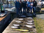 TW’s Bait & Tackle, Daily Fishing Report