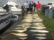 TW’s Bait & Tackle, Daily Fishing Report