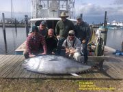 TW’s Bait & Tackle, Daily Fishing Report