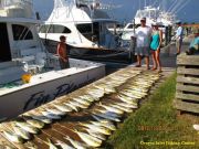 TW’s Bait & Tackle, Daily Fishing Report