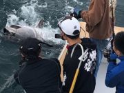 TW’s Bait & Tackle, Daily Fishing Report