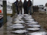 TW’s Bait & Tackle, Daily Fishing Report