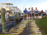 TW’s Bait & Tackle, Daily Fishing Report