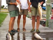 TW’s Bait & Tackle, Daily fishing Report