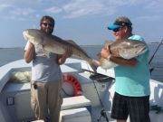 TW’s Bait & Tackle, Daily Fishing Report