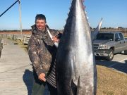 TW’s Bait & Tackle, Daily Fishing Report