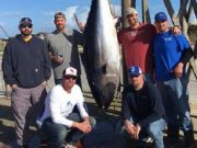 TW’s Bait & Tackle, Daily Fishing Report