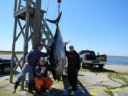 TW’s Bait & Tackle, Daily Fishing Report