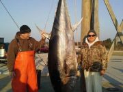 TW’s Bait & Tackle, TW's Daily Fishing Report. 1/21/16