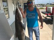 TW’s Bait & Tackle, Daily Fishing Report