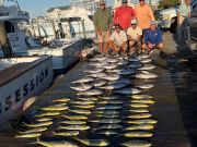 Pirate's Cove Marina, Wild Wednesday
