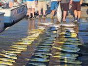 Pirate's Cove Marina, October Offshore Opener