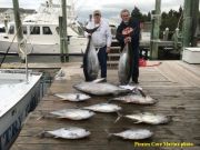 TW’s Bait & Tackle, Daily Fishing Report