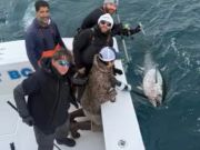 Oregon Inlet Fishing Center, Tag em, Release em