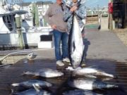 TW’s Bait & Tackle, Daily Fishing Report
