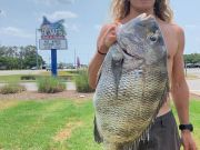 TW’s Bait & Tackle, Daily Fishing Report