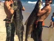 TW’s Bait & Tackle, Daily Fishing Report