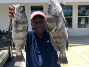 TW’s Bait & Tackle, Daily Fishing Report