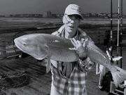 Jennette's Pier, Drum Bum