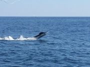 TW’s Bait & Tackle, Daily Fishing Report