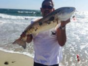 TW’s Bait & Tackle, Daily Fishing Report