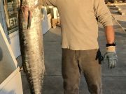 TW’s Bait & Tackle, Daily Fishing Report