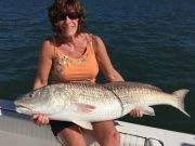 TW’s Bait & Tackle, Daily Fishing Report