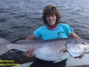 TW’s Bait & Tackle, Daily Fishing Report