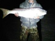 TW’s Bait & Tackle, Daily Fishing Report