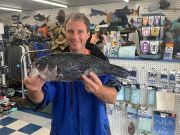 TW’s Bait & Tackle, TW's Daily Fishing Report