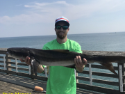 TW’s Bait & Tackle, Daily Fishing Report