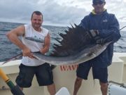 TW’s Bait & Tackle, Daily fishing Report