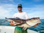 TW’s Bait & Tackle, Daily fishing Report