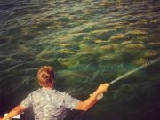 TW’s Bait & Tackle, Daily Fishing Report