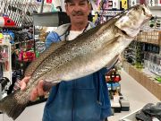 TW’s Bait & Tackle, Daily Fishing Report