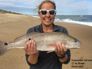 TW’s Bait & Tackle, Daily Fishing Report