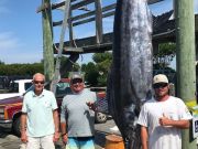 Pirate's Cove Marina, Catch of the Day!