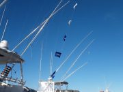 Pirate's Cove Marina, The Calm Before the Storm