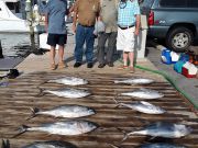 Pirate's Cove Marina, Another Good Day!