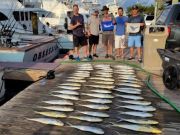 Pirate's Cove Marina, Tuesday’s Catch!