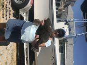 TW’s Bait & Tackle, Daily Fishing Report