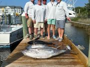 Pirate's Cove Marina, Wednesday's Catch