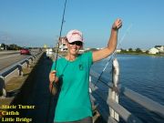 TW’s Bait & Tackle, Daily Fishing Report