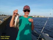 TW’s Bait & Tackle, Daily Fishing Report